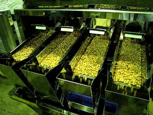 6500 Gram 4 Hoofd Lineaire Wegersmachine voor Chocolade