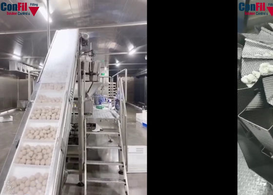 14 hoofd Roterende Vacuüm Verpakkende Machine voor de Verpakkende Machine van het Vleesballetje Bevroren Voedsel