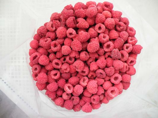 De Weger van Multihead van de Multihead Wegende Machine voor IQF-Framboos en Cherry Frozen Food Filling Machine