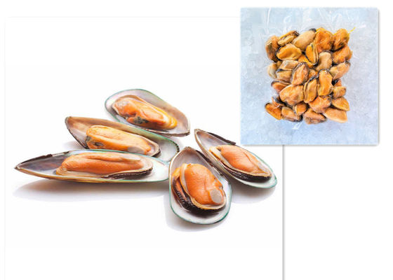 Van de de Wegersmachine van Multihead van de zeevruchteniqf Mossel het Bevroren Voedsel