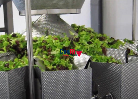 De Verpakkingsmachine van de Multiheadweger voor Klaar Dienblad van Traysealer van het Sla het Plantaardige Verpakkende Systeem