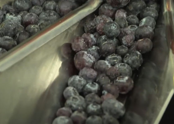 De Wegende Machine van het Multiheadfruit voor Bosbessen Breekbare Voedsel het Vullen Machine