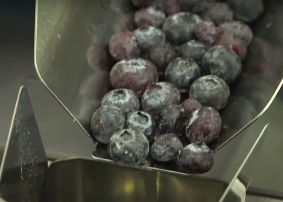 De Wegende Machine van het Multiheadfruit voor Bosbessen Breekbare Voedsel het Vullen Machine