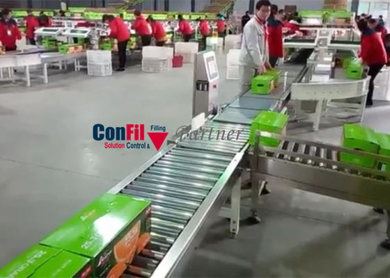 50 stukken/Miniem 30 kg van de Controleweger de Machine voor Dozengevallen